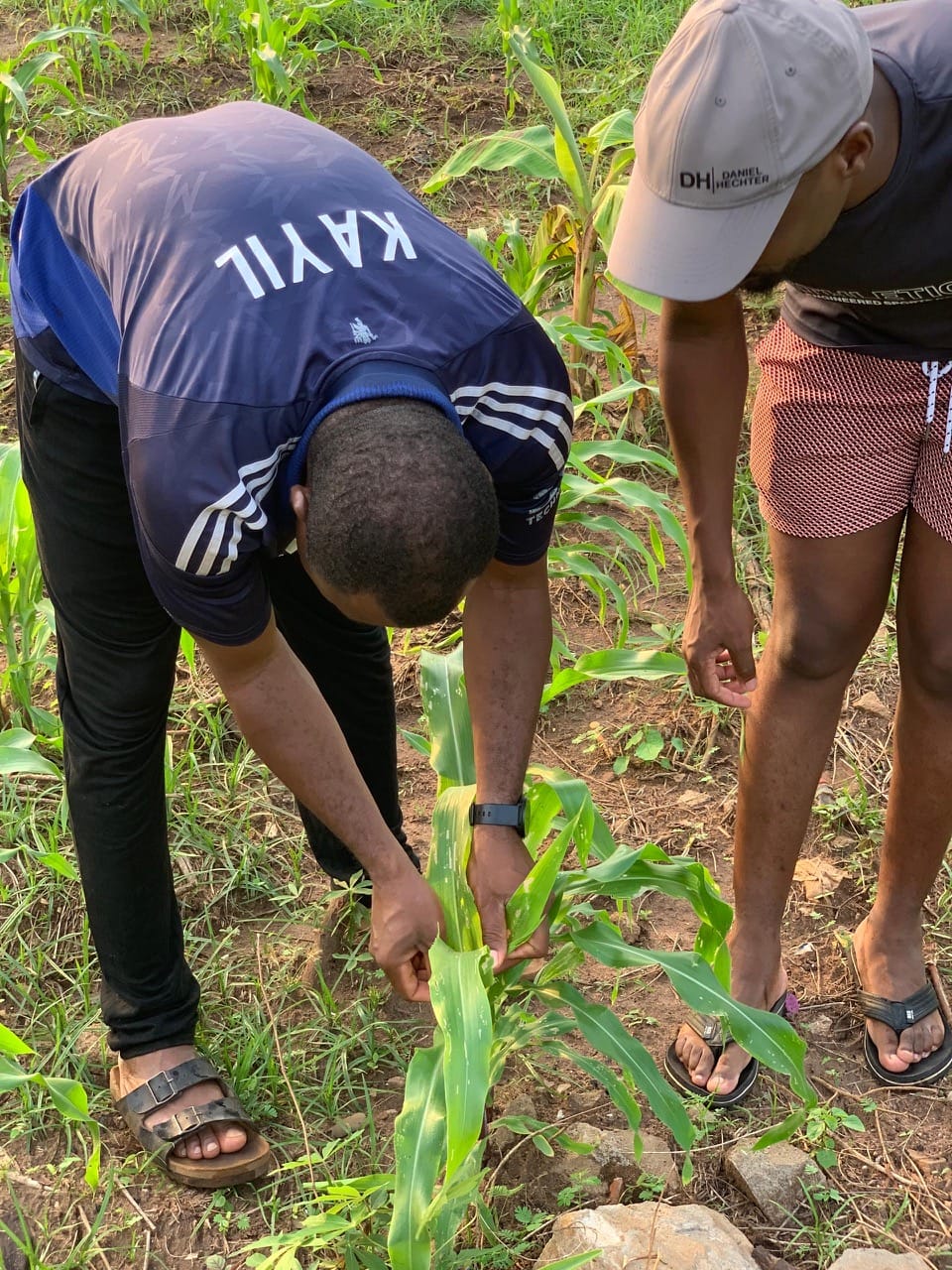 path-intraafrica.org (10)