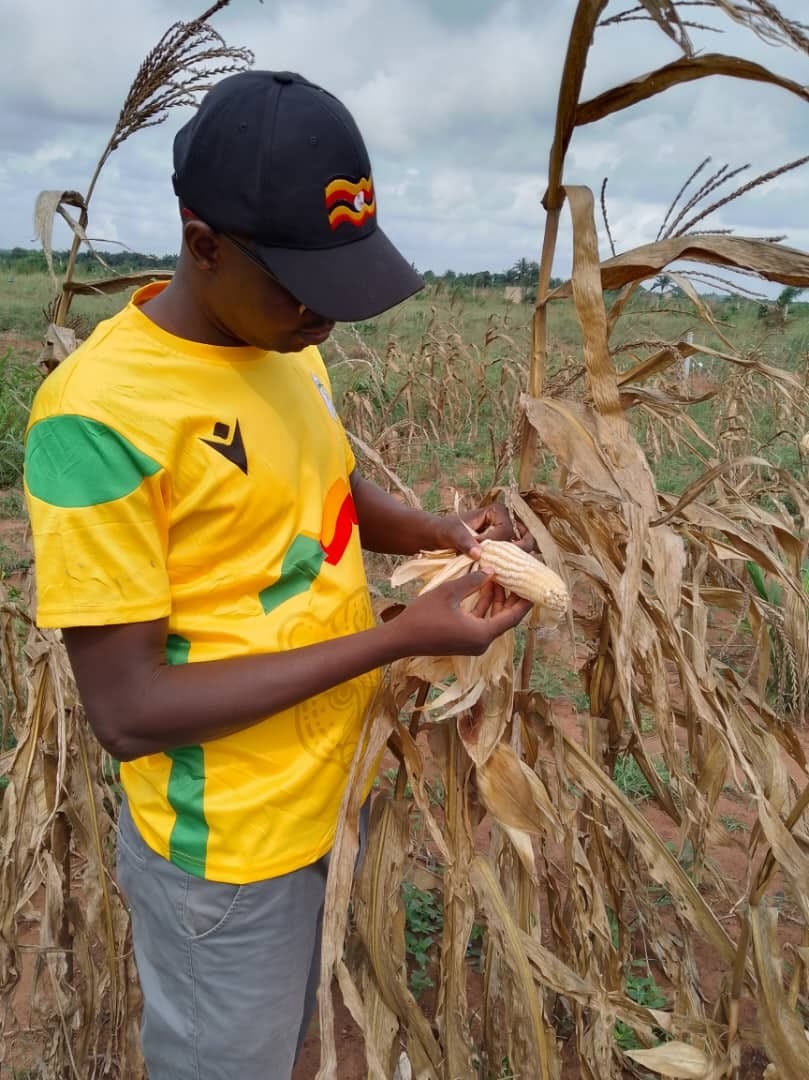 path-intraafrica.org (12)