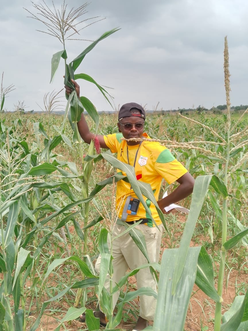 path-intraafrica.org (7)