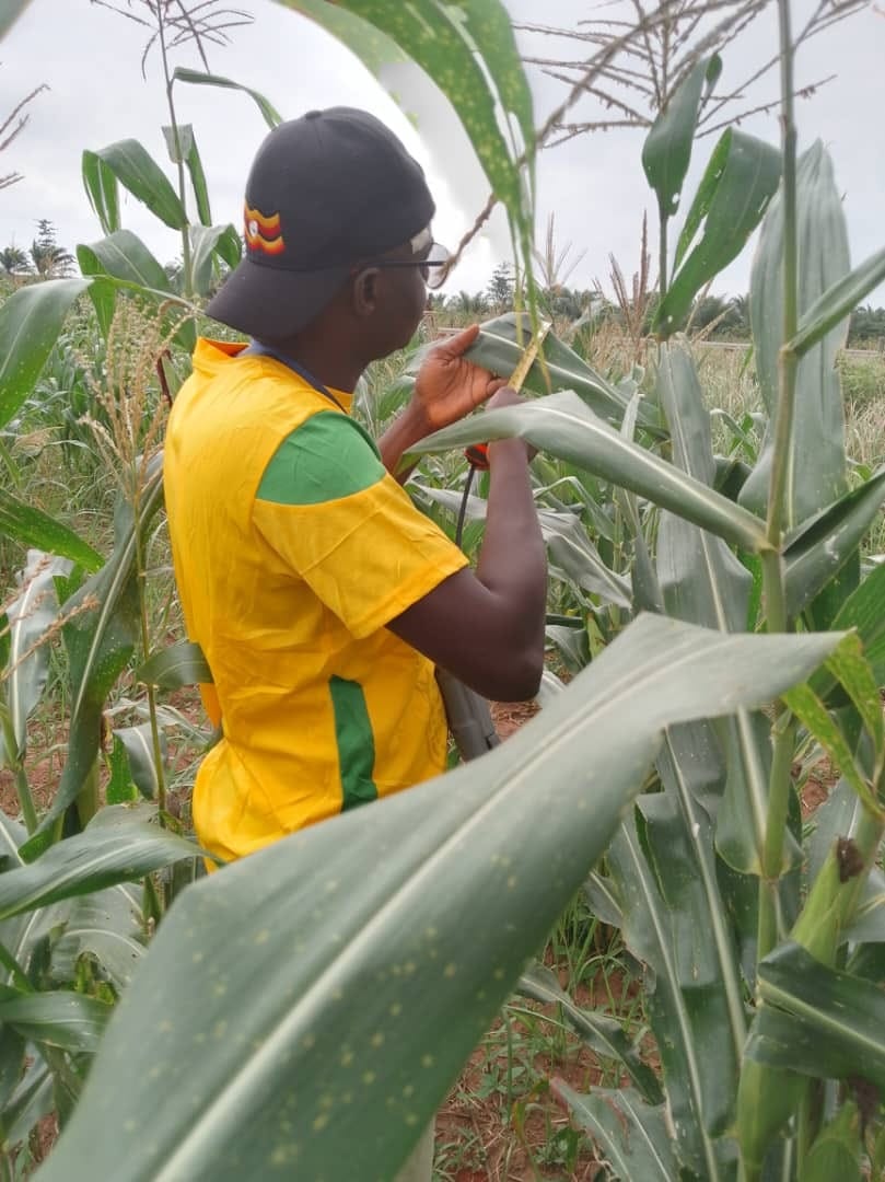 path-intraafrica.org (8)